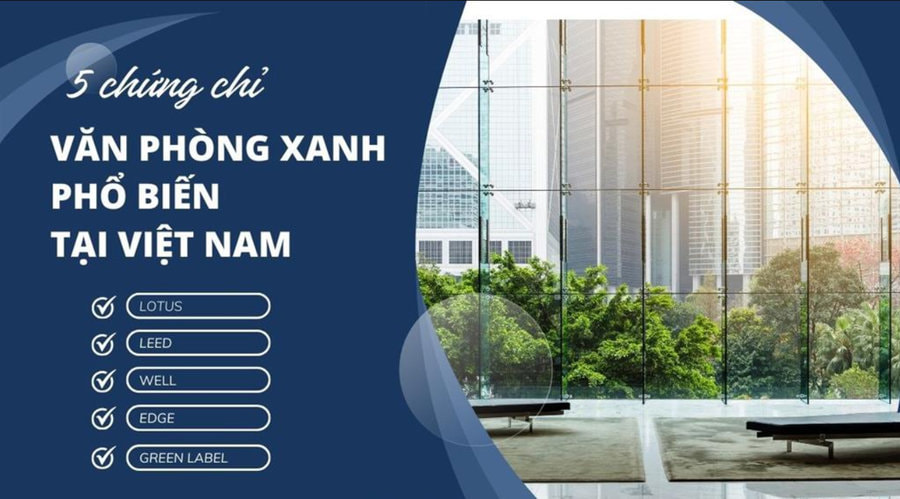 Các loại chứng chỉ văn phòng phổ biến