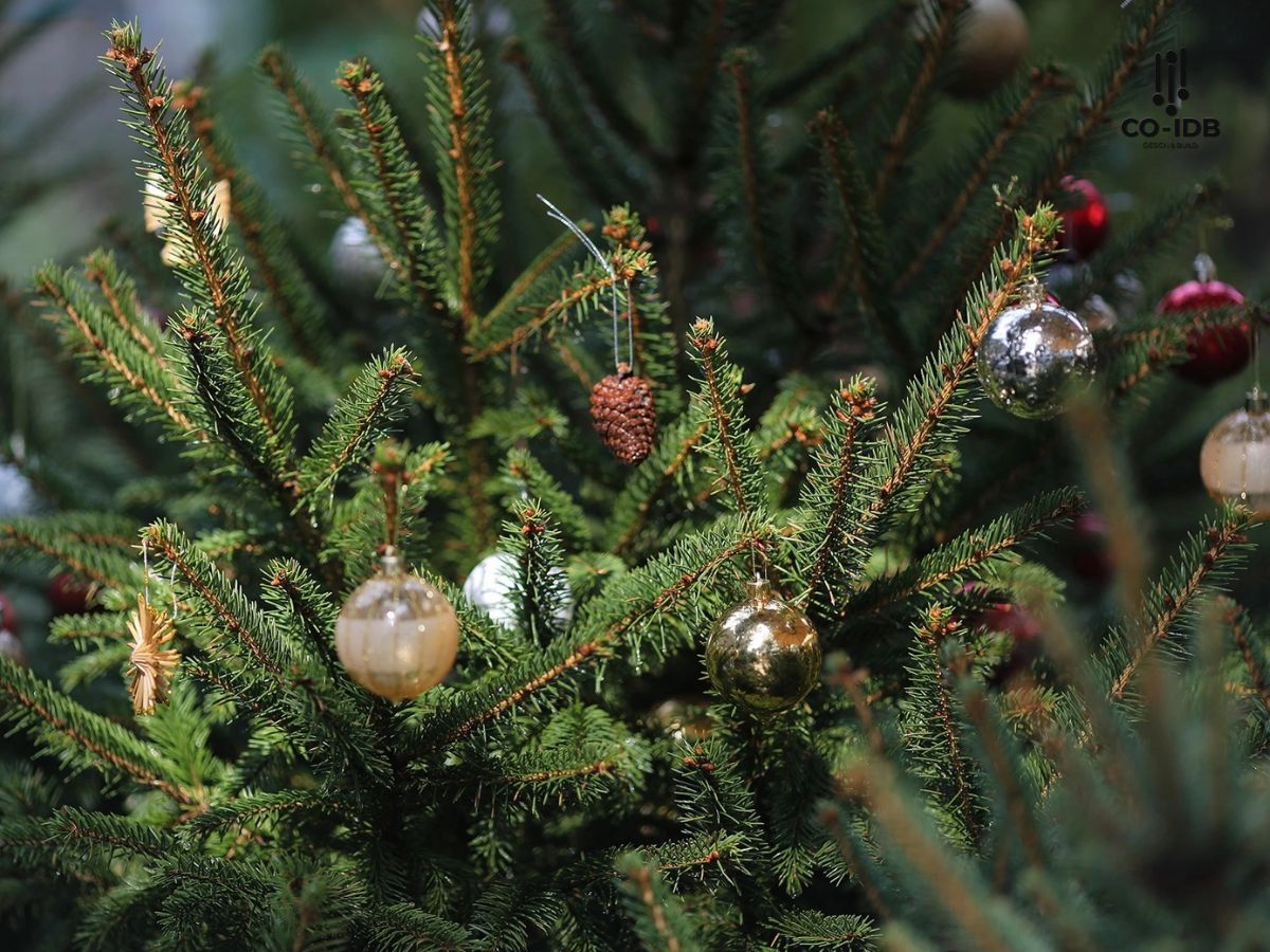 Cây thông Noel là món đồ không thể thiếu