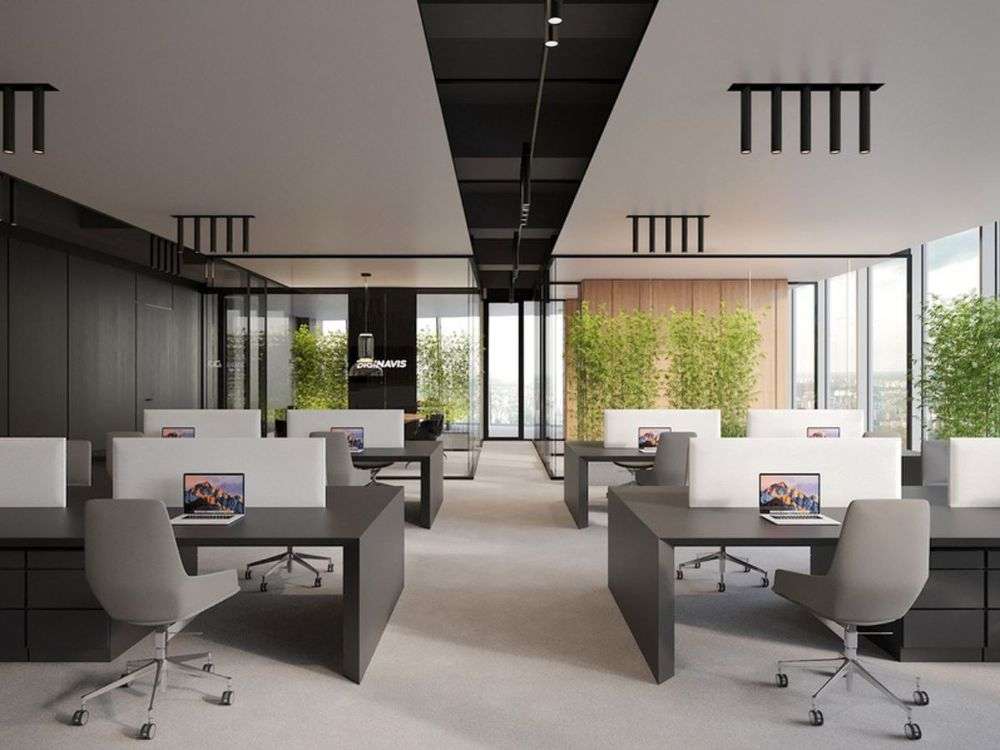 Văn phòng toát lên vẻ sống động với điểm nhấn mảng tường xanh giúp năng tầm không gian làm việc