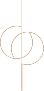 icon tròn trang trí website