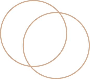 icon tròn trang trí website