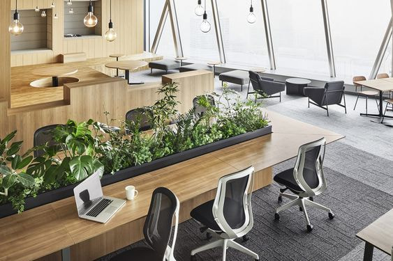 Không gian văn phòng được tôn lên vẻ tươi mới với các điểm nhấn xanh được bố trí vô cùng khéo léo