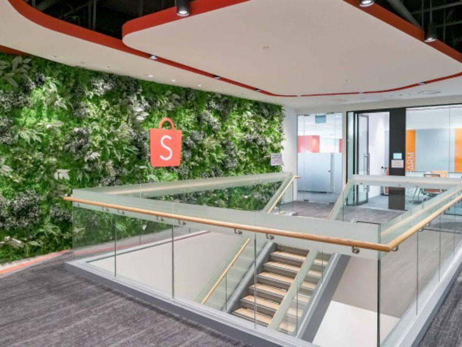 Không gian văn phòng được thiết kế hơi hướng eco tạo nên vẻ đẹp vô cùng năng động