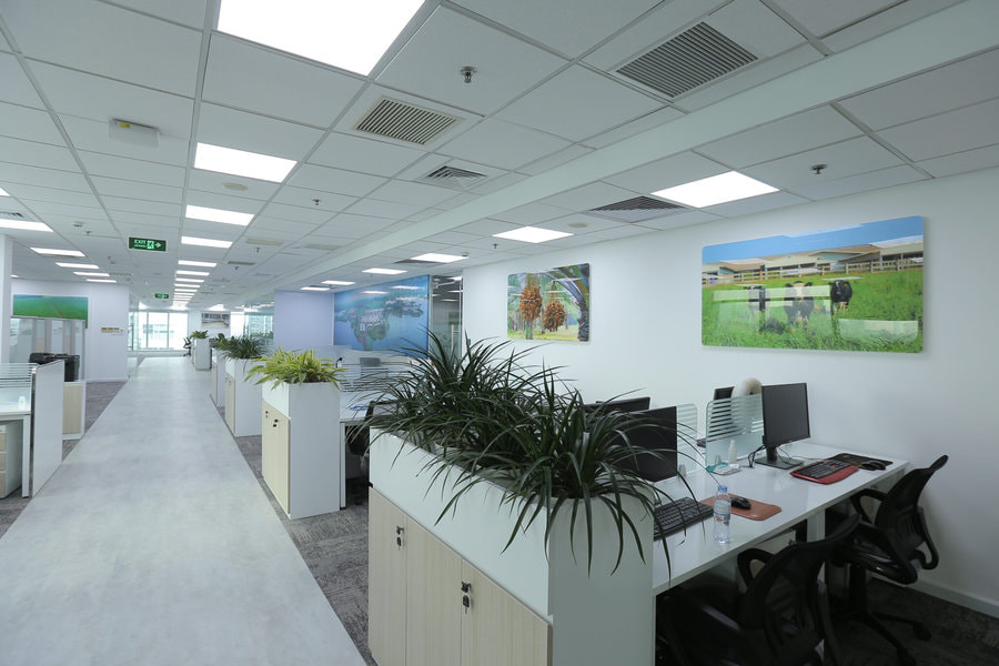 Khu vực làm việc được ngăn cách với lối đi bằng cây xanh vô cùng sáng tạo