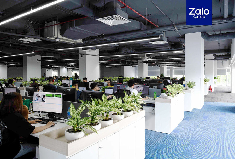 Văn phòng trở nên năng động hơn với điểm nhấn xanh được trang trí khéo léo ở không gian làm việc